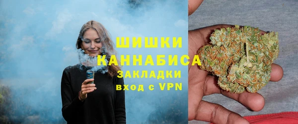 стаф Вязьма