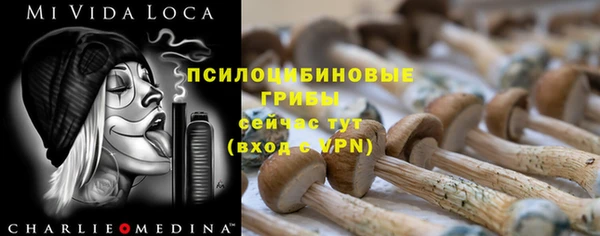МДПВ Вязники