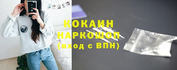 стаф Вязьма