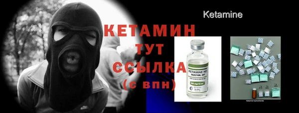 стаф Вязьма