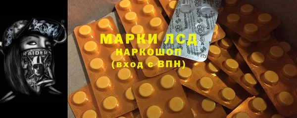 стаф Вязьма