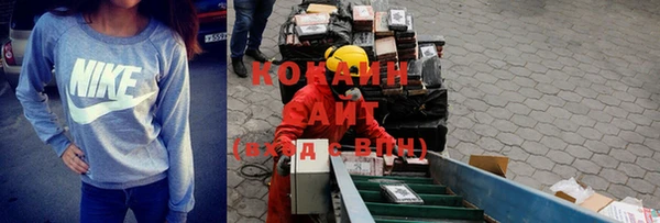 стаф Вязьма